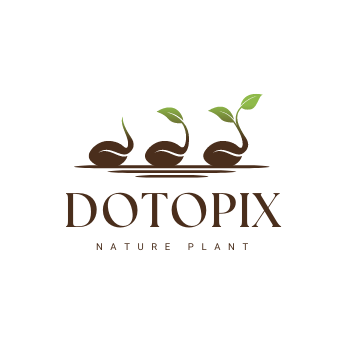 Dotopix